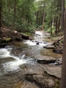 photo (10)