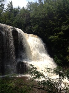 photo (12)