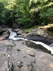 photo (6)