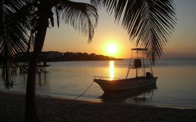 My Island Life