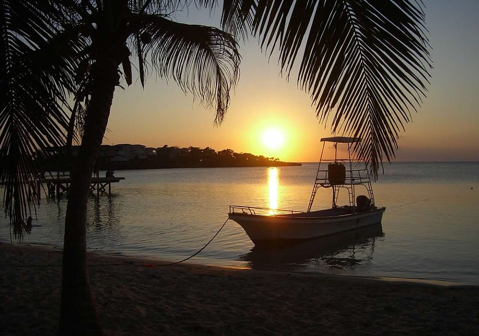 My Island Life