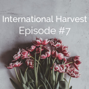 International Harvest #7: Ashlee’s Story