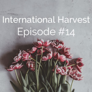 International Harvest #14: Michelle’s Story