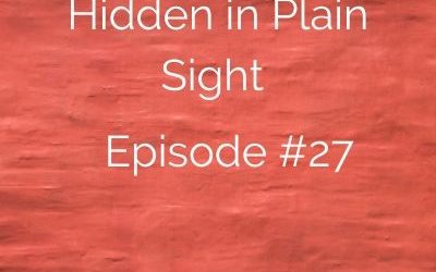 Hidden in Plain Sight #27: Becky Allender