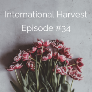 International Harvest #34