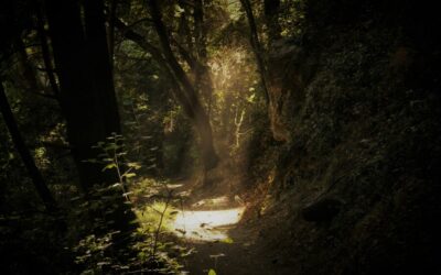 God Is Good When Church Leaders Aren’t