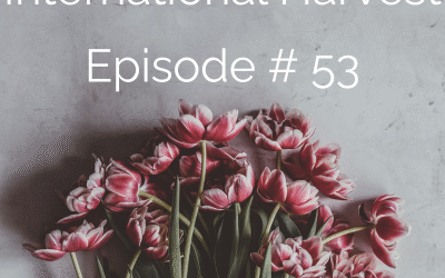 Episode #53: Ahmet’s Story